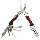 Fournisseur LOTS DE PINCES OUTILS  MULTIFONCTIONS, Grossiste LOTS DE PINCES OUTILS  MULTIFONCTIONS, Destockage LOTS DE PINCES OUTILS  MULTIFONCTIONS