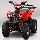 Destockage QAUD PYTHON 110 CC Non Homologu�