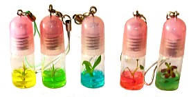 Destockage Mini plante pour t�l�phone portable (accessoire)