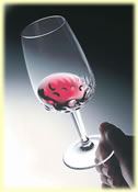 Destockage VERRE DE DEGUSTATION