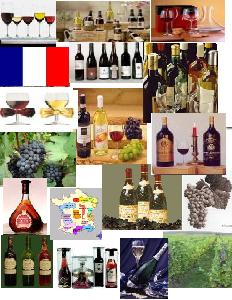 Destockage Producer Wines & Spirits for french and other coutries