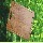 Destockage planche a decouper en bamboo carbonis�