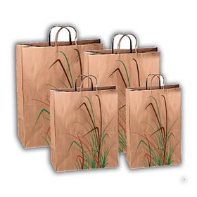 Destockage SACS KRAFT NATUREL AVEC ANSES TYPE CORDES