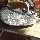 Fournisseur PROJECTEUR DE FORD MONDEO 2, Grossiste PROJECTEUR DE FORD MONDEO 2, Destockage PROJECTEUR DE FORD MONDEO 2