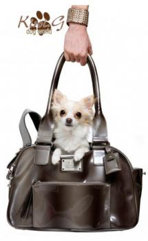 Destockage Stock accessoires pour chiens-grande marque canine