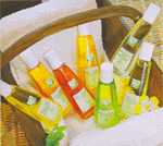 Fournisseur HUILE SOIN DU CORPS jojoba karit� carotte avocat, Grossiste HUILE SOIN DU CORPS jojoba karit� carotte avocat, Destockage HUILE SOIN DU CORPS jojoba karit� carotte avocat
