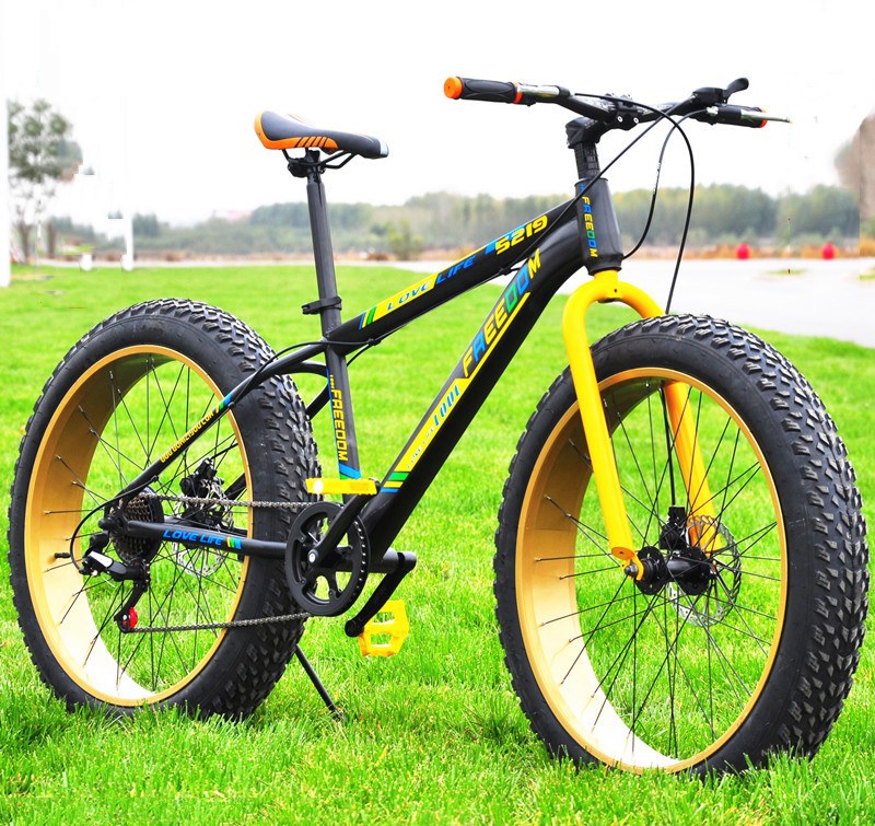 scrapper fat bike