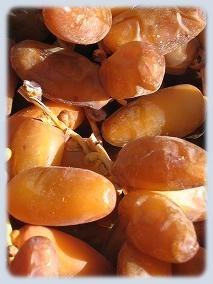 DATTES DE TUNISIE