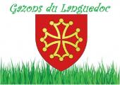 Gazonsdulanguedoc