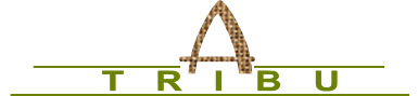 ATribu