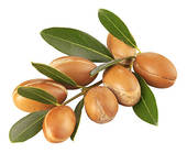 Huile d'Argan corps et cheveux