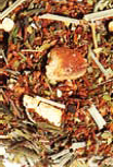 Tisane BIO équilibre et minceur