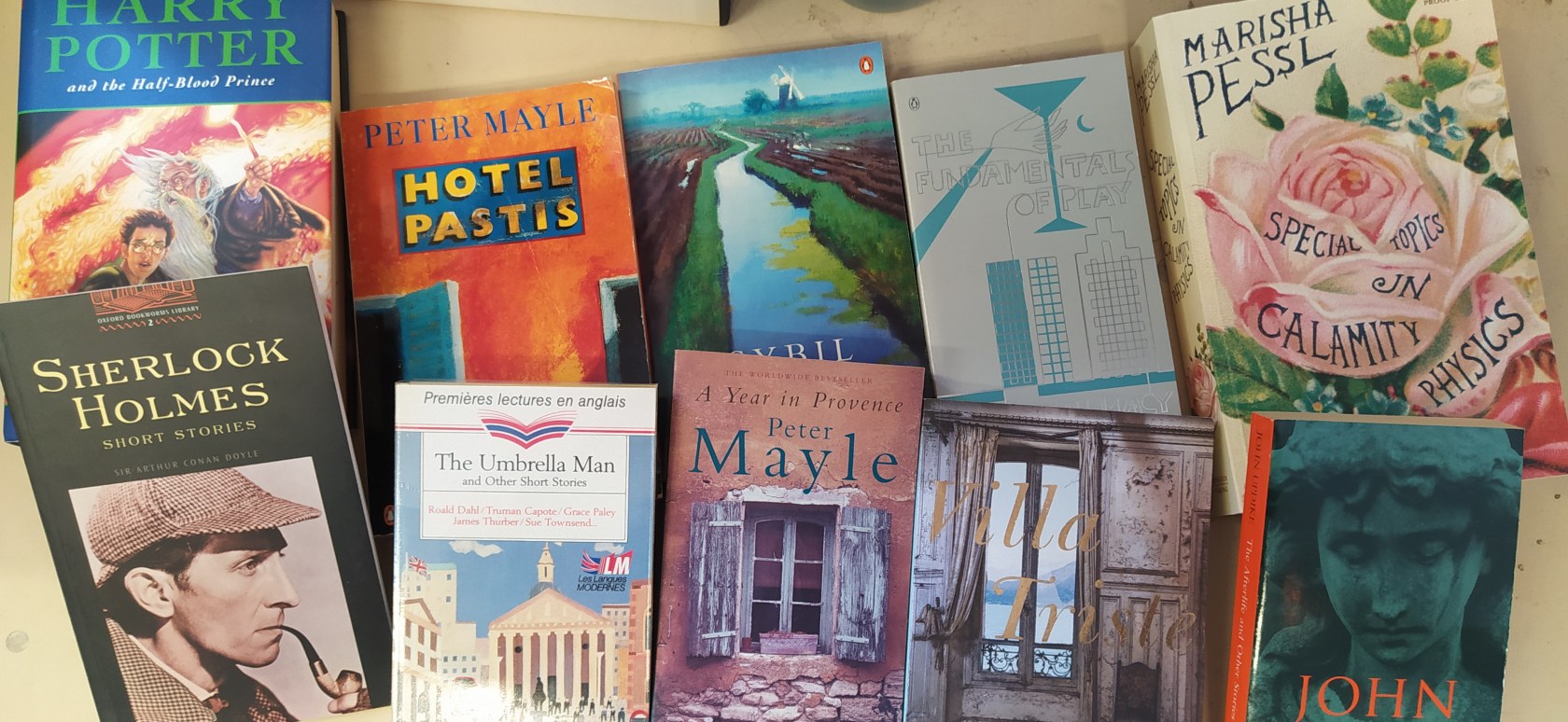 Lots de romans en anglais Recyclivre Destockage Grossiste