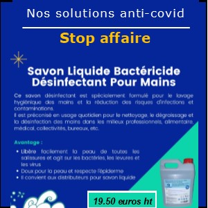 GEL DESINFECTANT HYDRATANT POUR LES MAINS ANTI VIRUS