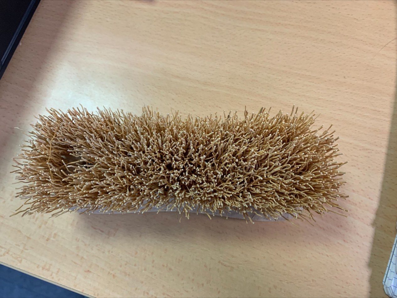 Brosse Pour Violon En Chiendent 4/4 - Qualité Professionnelle, Pour Un Entretien Optimal