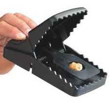 Piège à rat efficace.