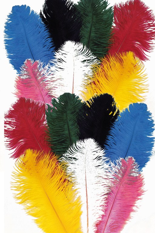 30 Plumes D'autruche Naturelles Blanches 15-20cm - Pour Décorations, Mariages, Costumes, DIY, Chapeaux, Déco Maison