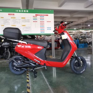 Luyuan fournisseur grossiste de scooters électriques 25km/h en Europe