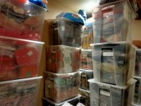 Lot des vêtements et accessoires pour chien