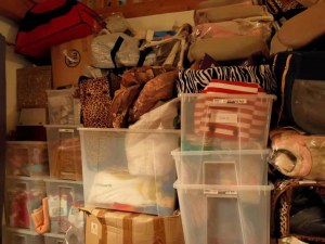 Lot des vêtements et accessoires pour chien