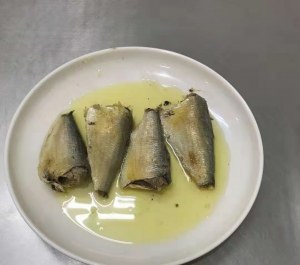 Conserves de sardines