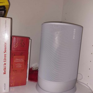 Vends enceinte sonos blanche en très bon état.