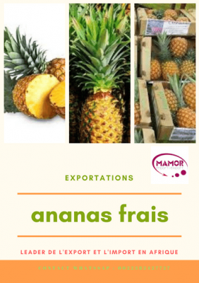 Mangue frais a exporte