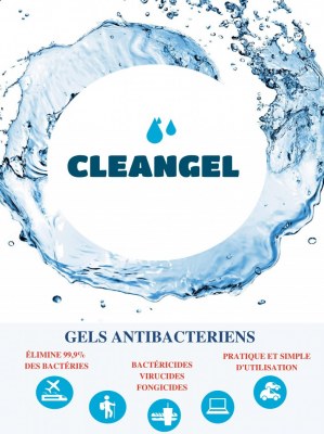 Gel hydroalcoolique desinfectant antibactériens 250 ML