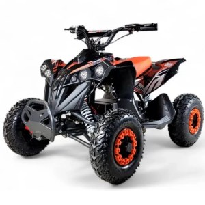 QUAD ELECTRIQUE ATV D1200 48 V KM-1911