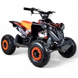 QUAD ELECTRIQUE ATV D1200 48 V KM-1911