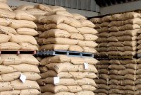 Sell African cashews