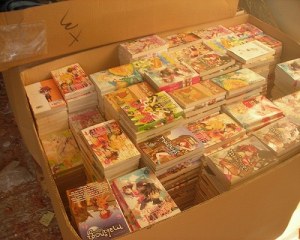 LOT 1000 MANGAS RETOURS GRANDES SURFACES