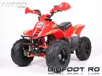 QUAD 110CC BIG FOOT AUTOMATIQUE LIVRAISON OFFERTE !