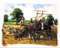 TOILE 50 X 70cm Imprimée