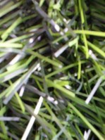 Haie artificielle aspect thuya orlando 1,5X5M