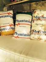 Coussin silicone et anti bacterien