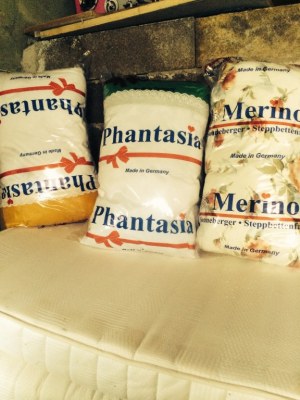 Coussin silicone et anti bacterien