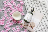 Garnier Fructis Stay Fresh Shampoo 250 ml