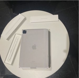 Apple ipad pro 4em generation 256Go