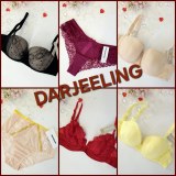 070093 Mix de lingerie féminine Darjeeling