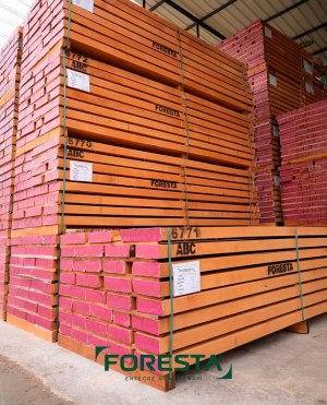 Dried Beech Wood