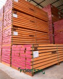 Dried Beech Wood