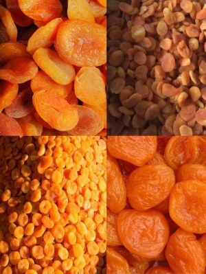 Premium Turkish Dried Apricots - Export Quality