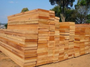 Turkish Kiln Beech Wood — A-Grade Super Premium