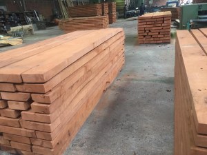 Dried Beech Wood