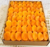 Premium Turkish Dried Apricots - Export Quality