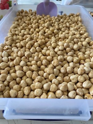 Blanched Hazelnut Kernels (White Hazelnut) – Turkish Premium Quality