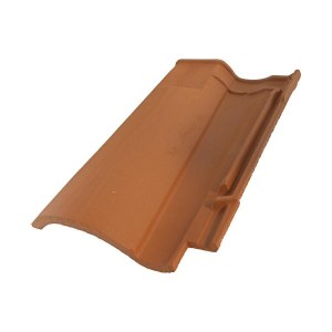 TUILE CHATIERE LANGUEDOC DCL CASTELVIEL+NUANCES D’ANTAN