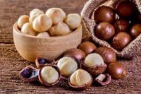 Blanched Hazelnut Kernels (White Hazelnut) – Turkish Premium Quality