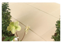 DALLE DUNE 50X50X4 T7